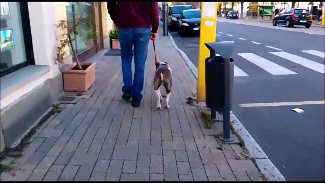 AMSTAFF ANSIOSO E SOVRAECCITTATO!