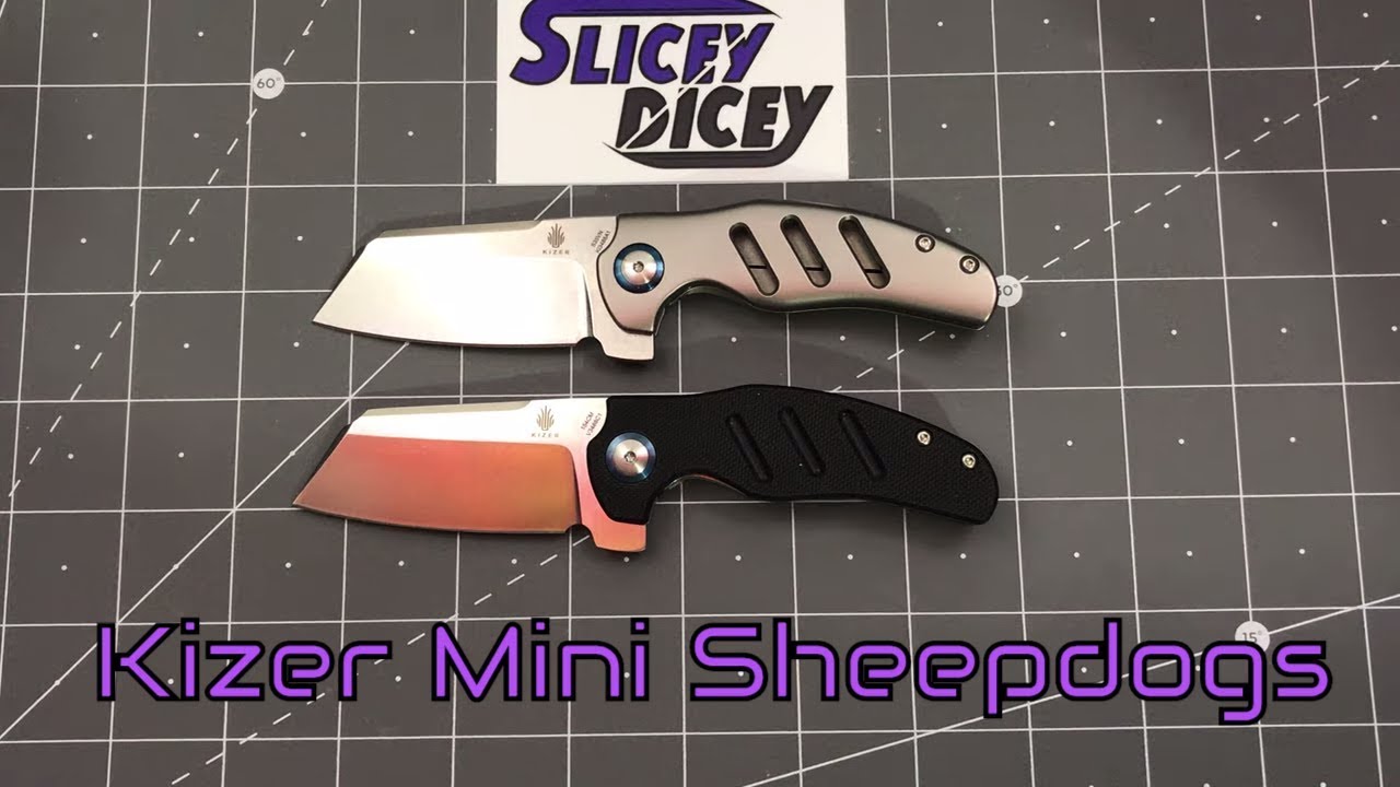 2019 Kizer Mini Sheepdogs