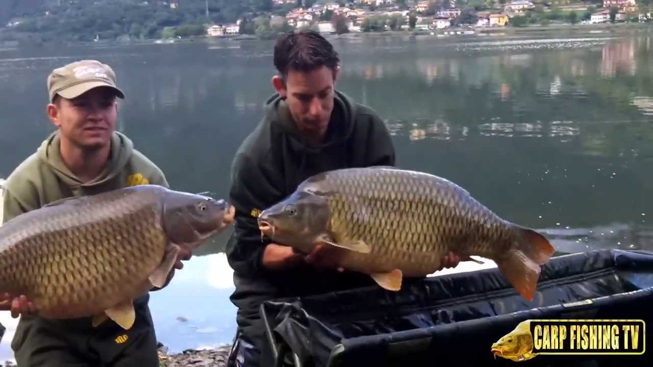 PESCA a CARPFISHING a ENDINE - Maddocks