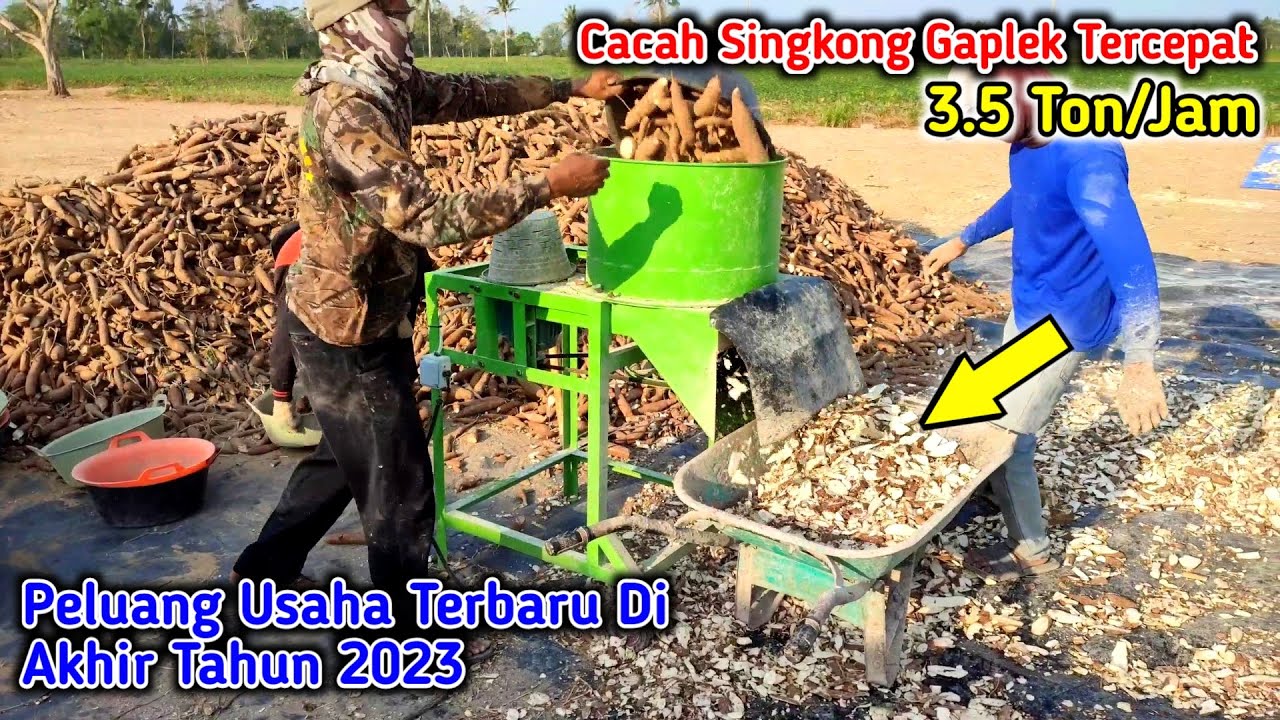 Mesin Pencacah Perajang Singkong Gaplek Kapasitas 40 Ton Perhari