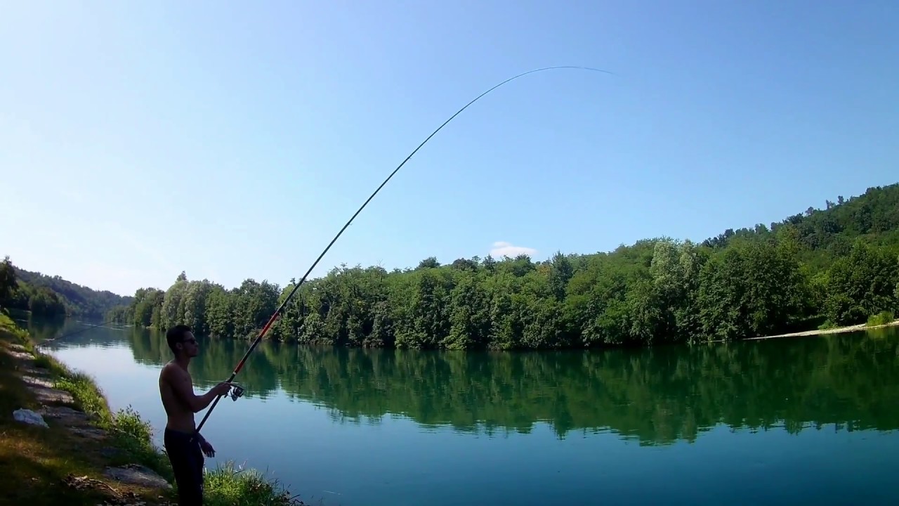 Daiwa Tournament AGS Bolo Pro Power - VP70G