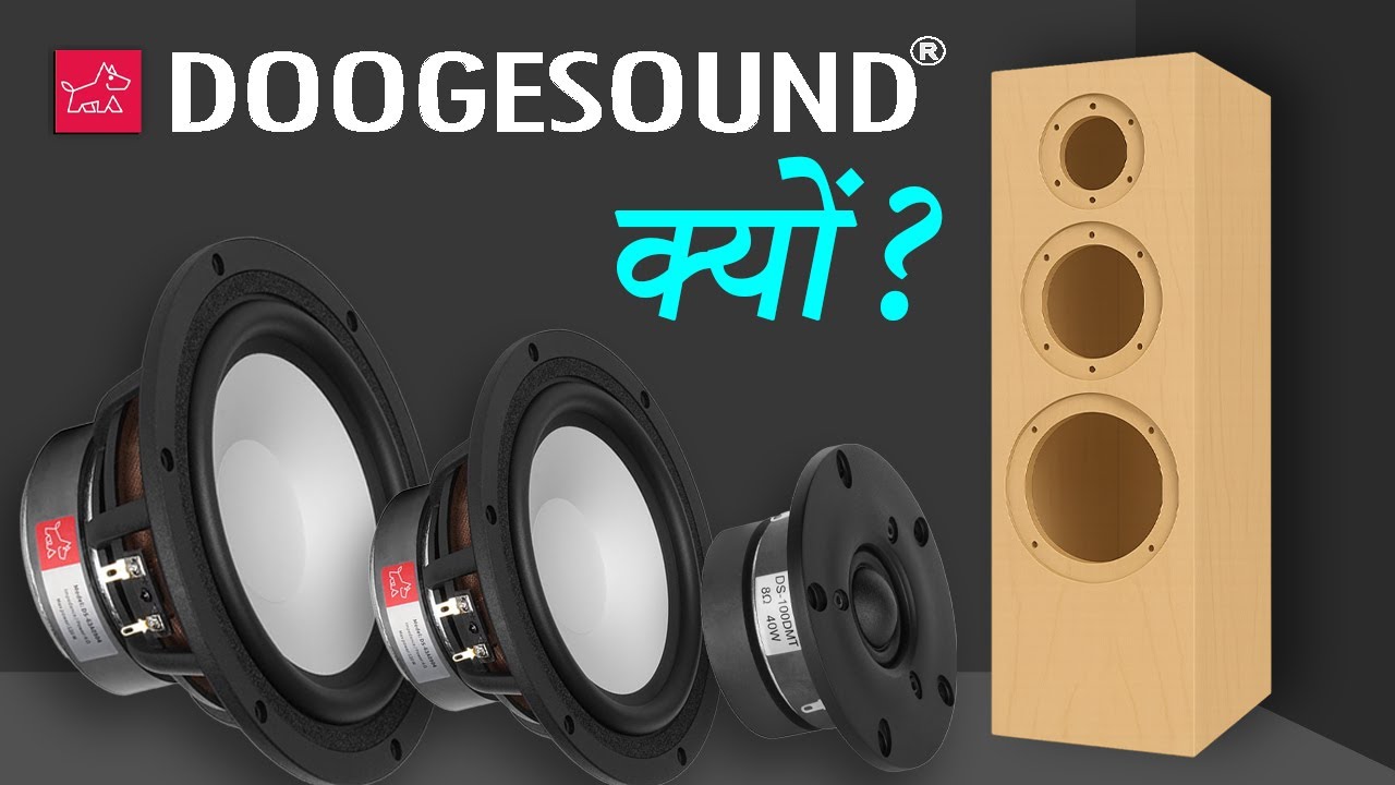 ▶️Why Only DOOGESOUND for हमारा HIFI DIY Tower Speaker?