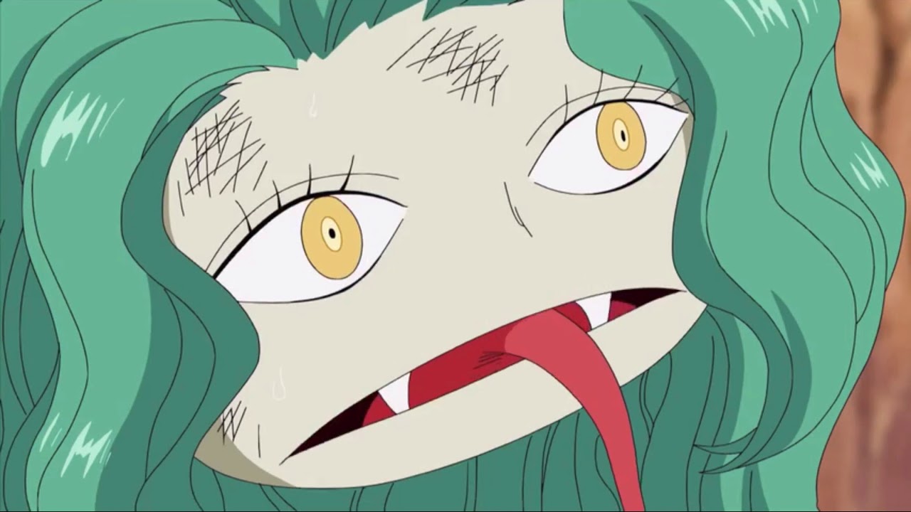 One Piece: Luffy hides the Gorgon sister's back in Amazon Lilly