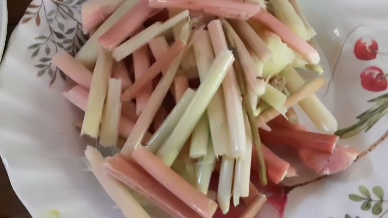 Galangal plant||Langkawas ||Alpinia Galanga Herbal plant||Galangal Recipe with Takway@BoyDahon