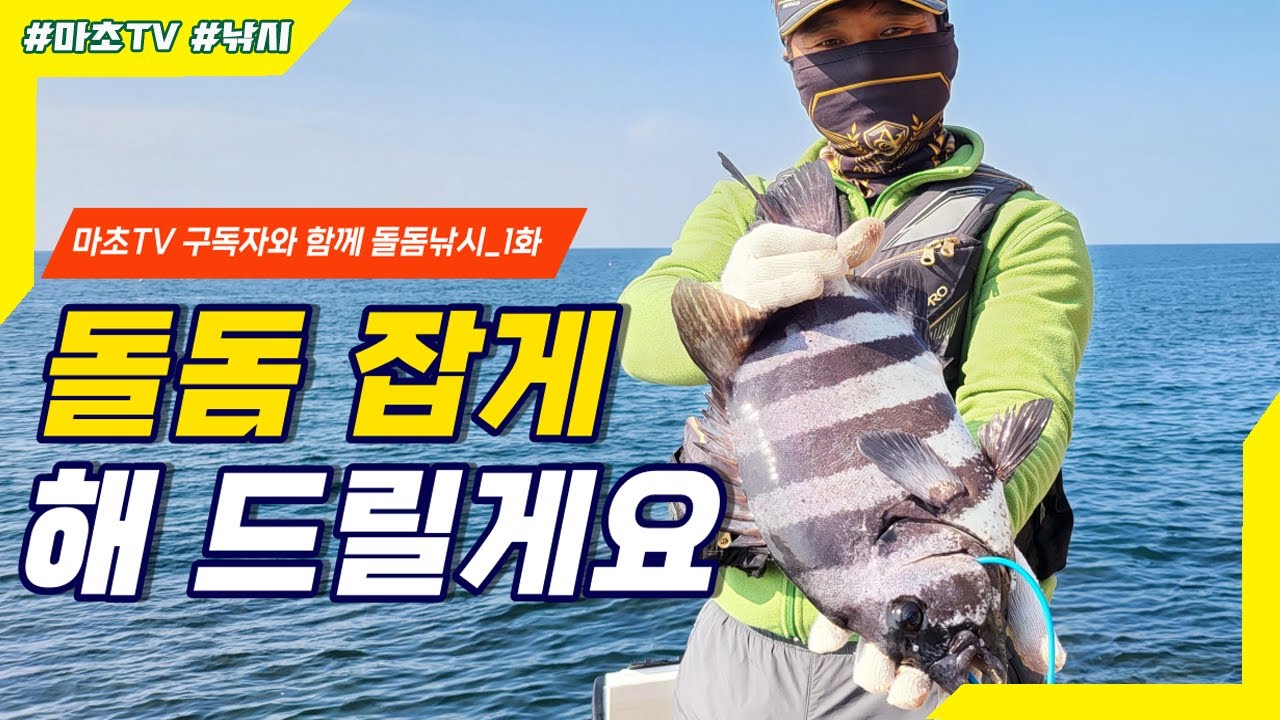 🎉돌돔 잡게 해드릴게요🎉마초TV 구독자와 함께 여서도 돌돔낚시ㅣ돌돔조황 Fishing / イシダイ / striped beakperch / rock bream