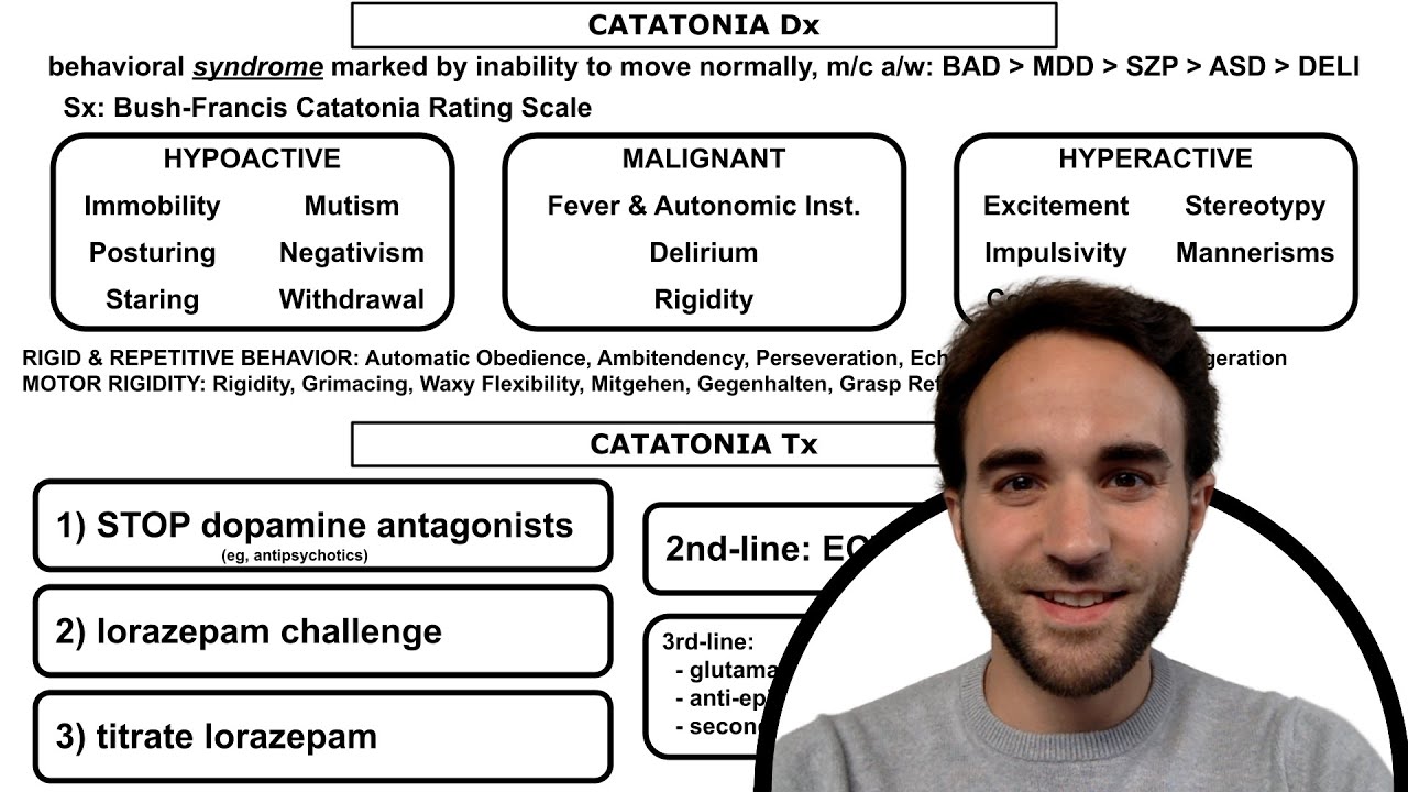 Catatonia Overview