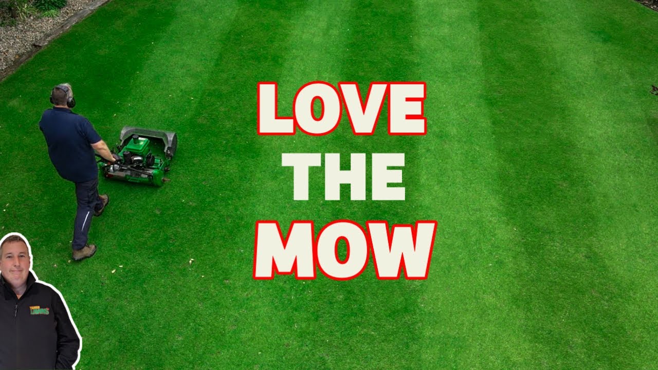 Cutting the grass (15mm) Oddly satisfying #ASMR
