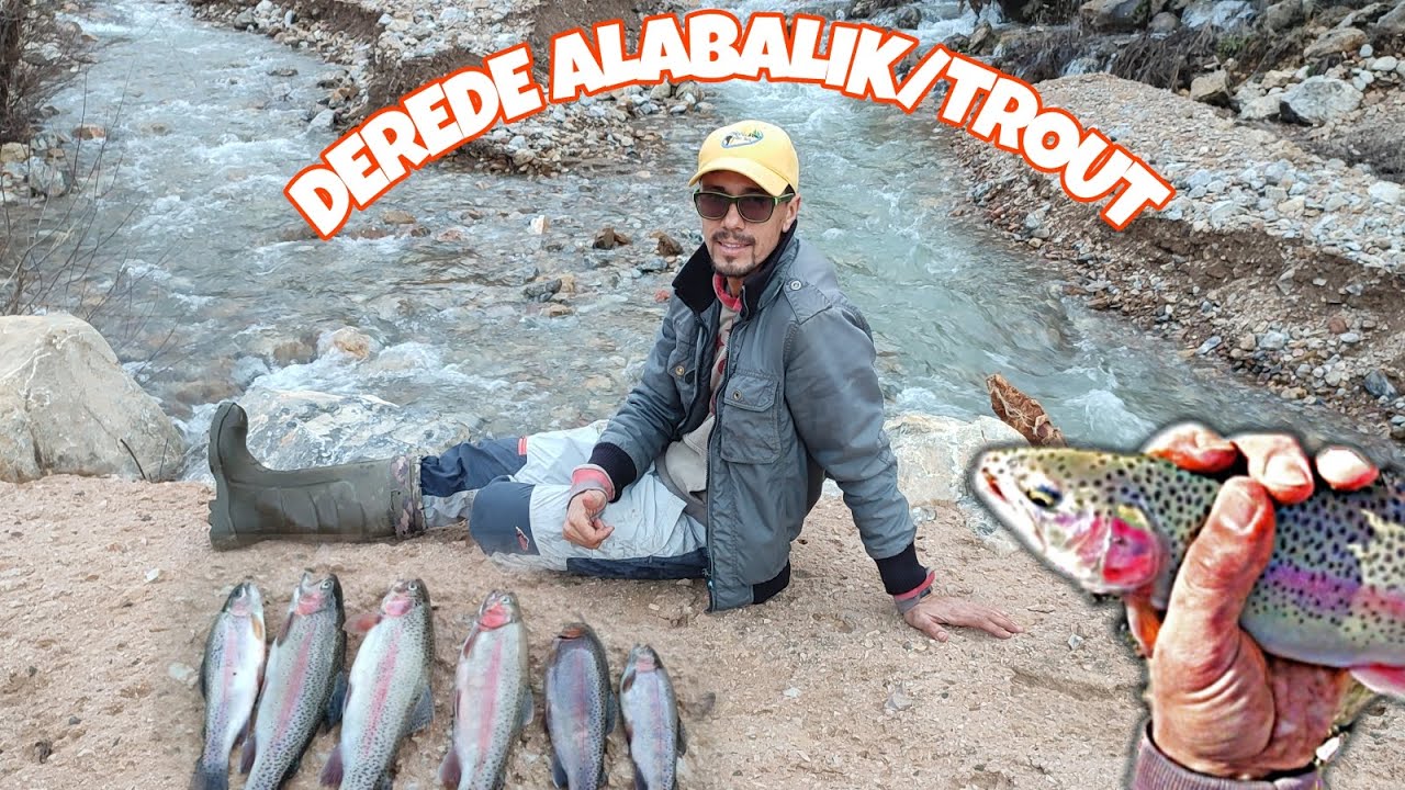 DEREDE ALABALIK AVI/ TROUT FİSHİNG/ BALIK ÇOK YEM YOK 😱 #alabalıkavı  #trout #fishing