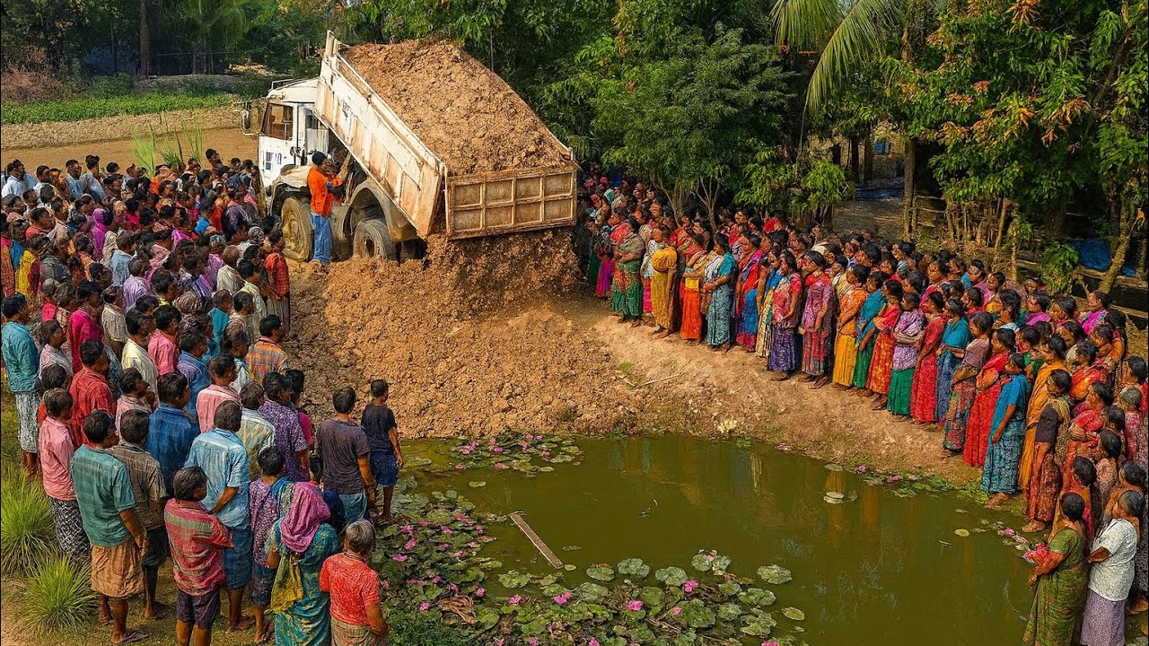 Wonderful Project !! Bulldozer D20P & Dump Truck 5 T Push Soil Into Pond Filling Flooded Land