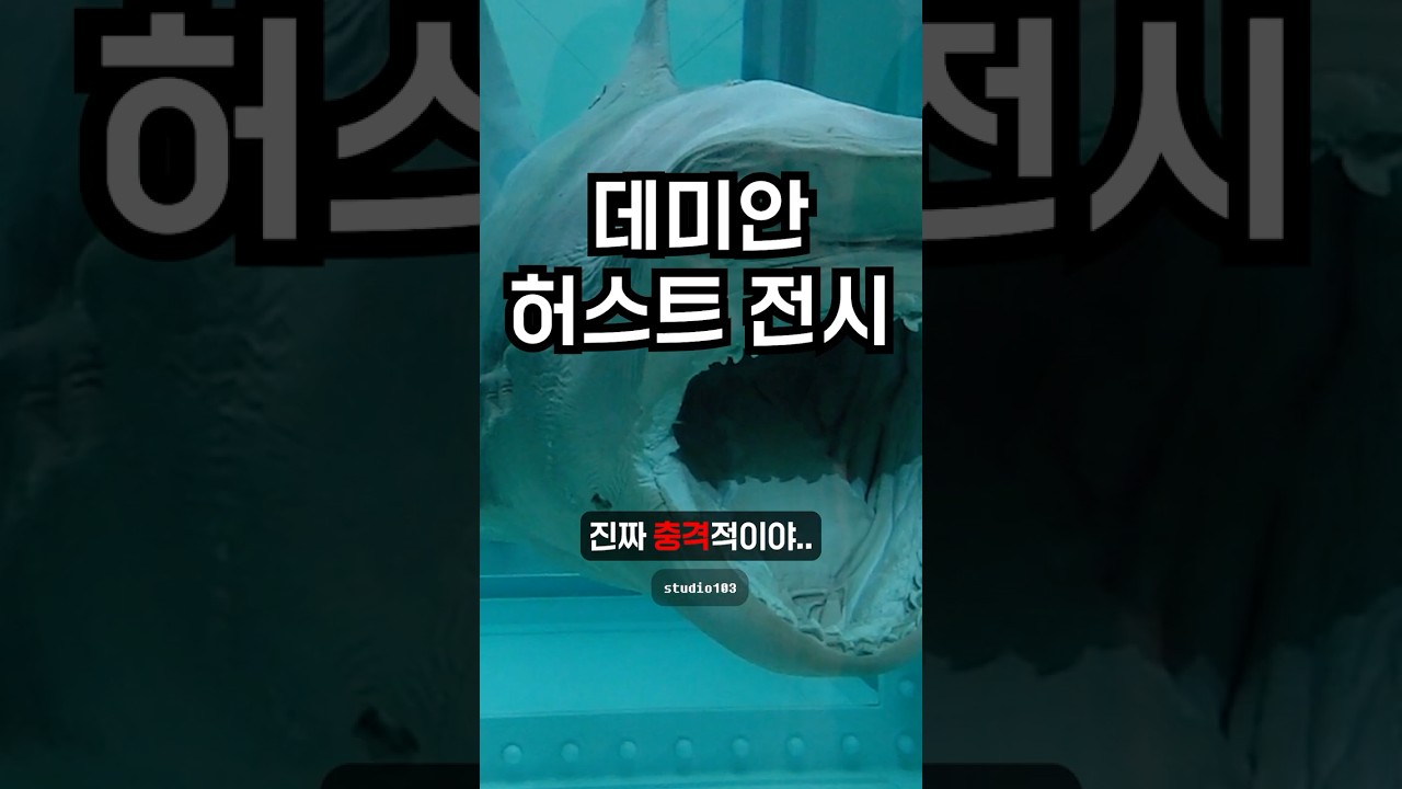 충격과 논란의 전시 다녀왔습니다 #데미안허스트