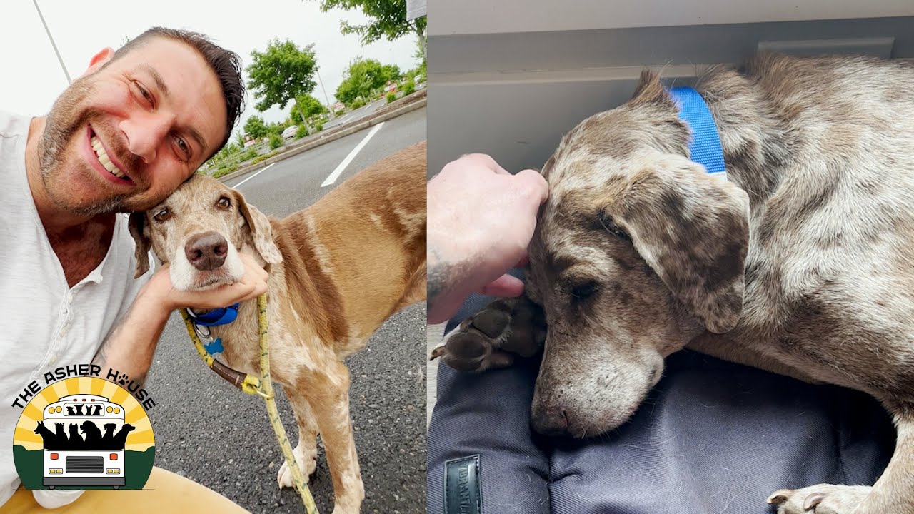 Jasper Had A Horrible Life, Now He's Safe | The Asher House