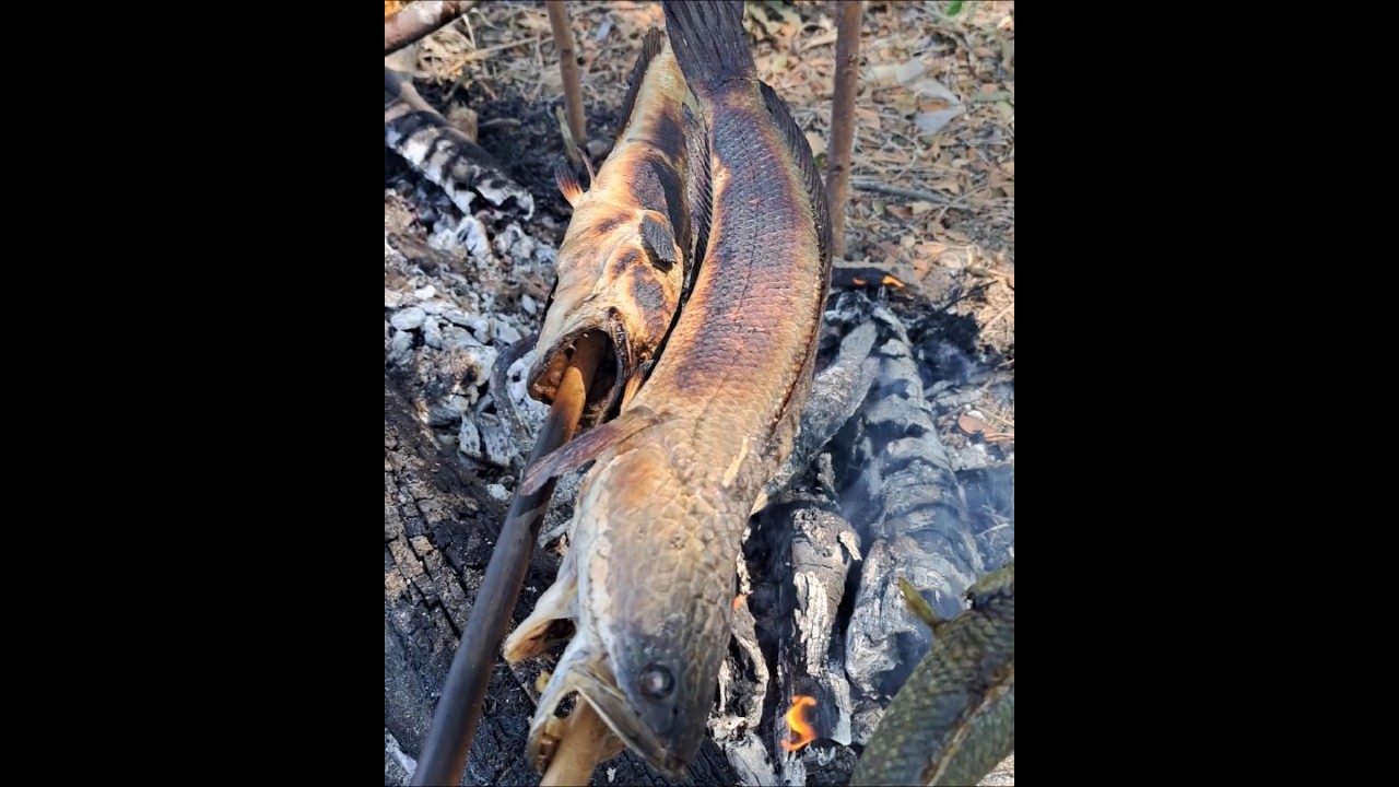 បូមស្រះចម្ការបង អាំងធម្មជាតិ100%