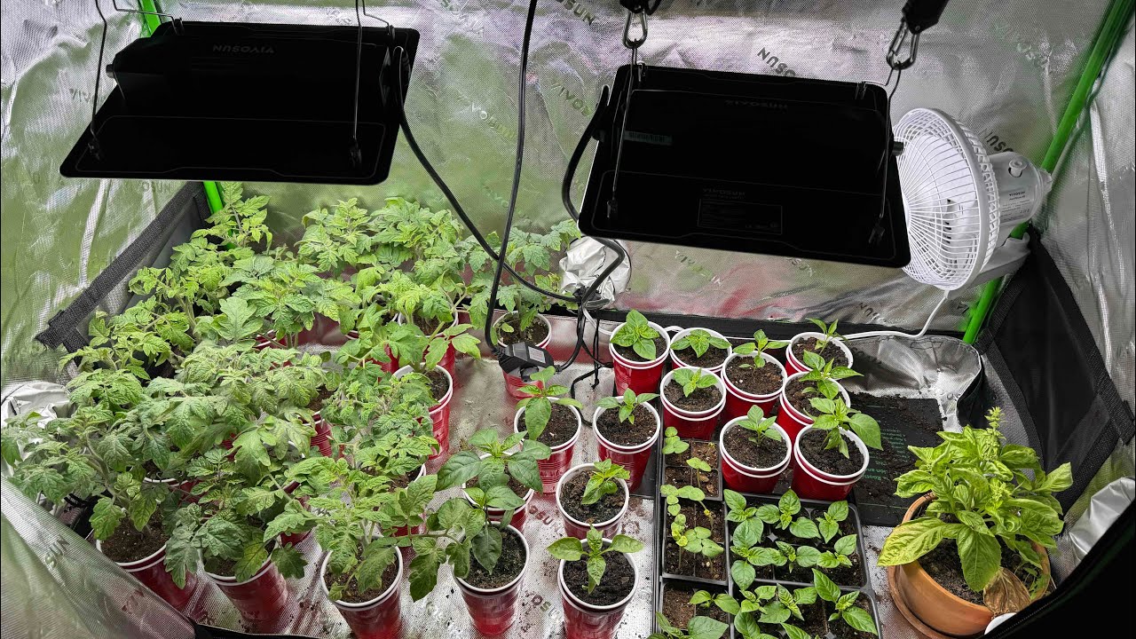 Vivosun 2&rsquo;X4&rsquo; Grow Tent Build