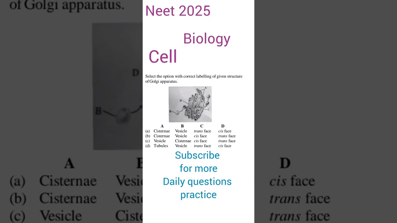 #neet2025#Q30#biology#ncertbased#mcq#cell