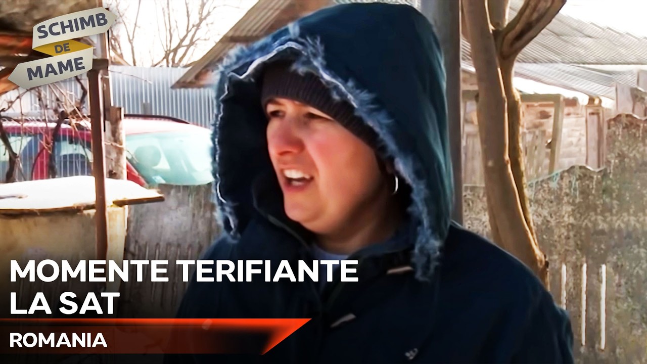 Caprele Au Urmărit Femeia - Vieți diferite | Schimb de Mame
