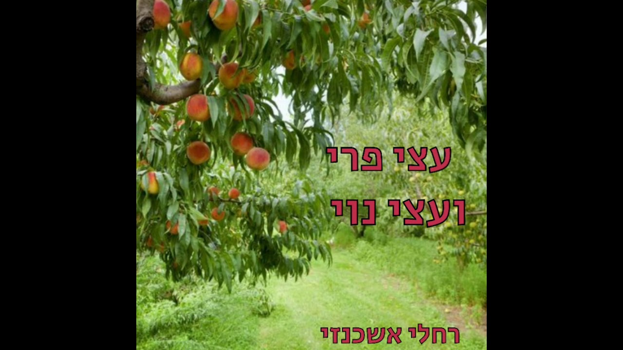 עצי פרי ועצי נוי