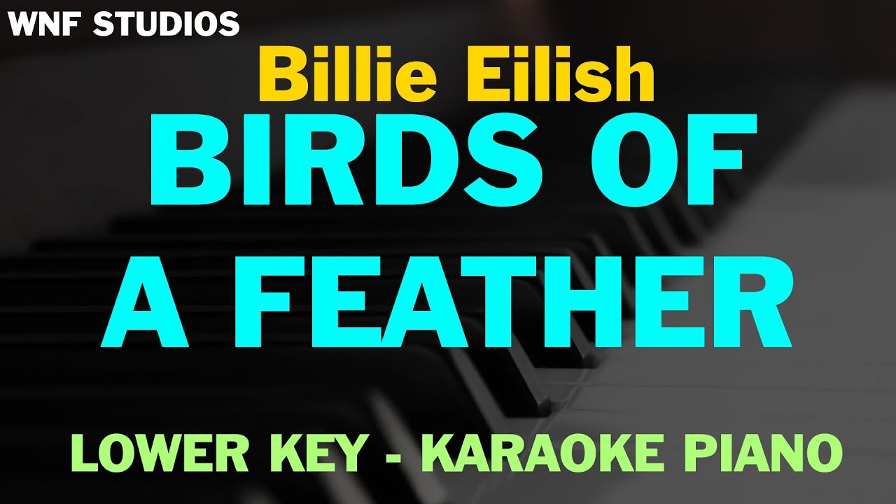 Karaoke Lower Key Billie Eilish Birds Of A Feather (Piano + Bass & Drum)