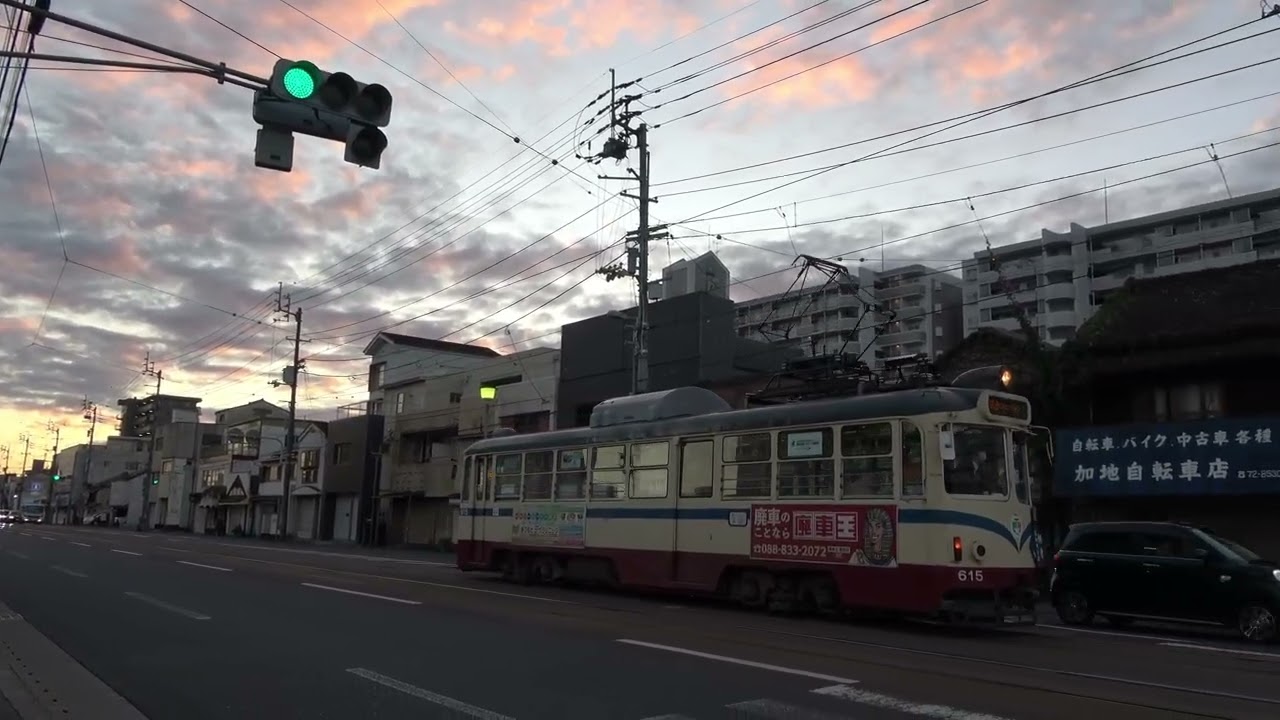 とさでん　路面電車　通勤　芝生？の朝　2024/11/19