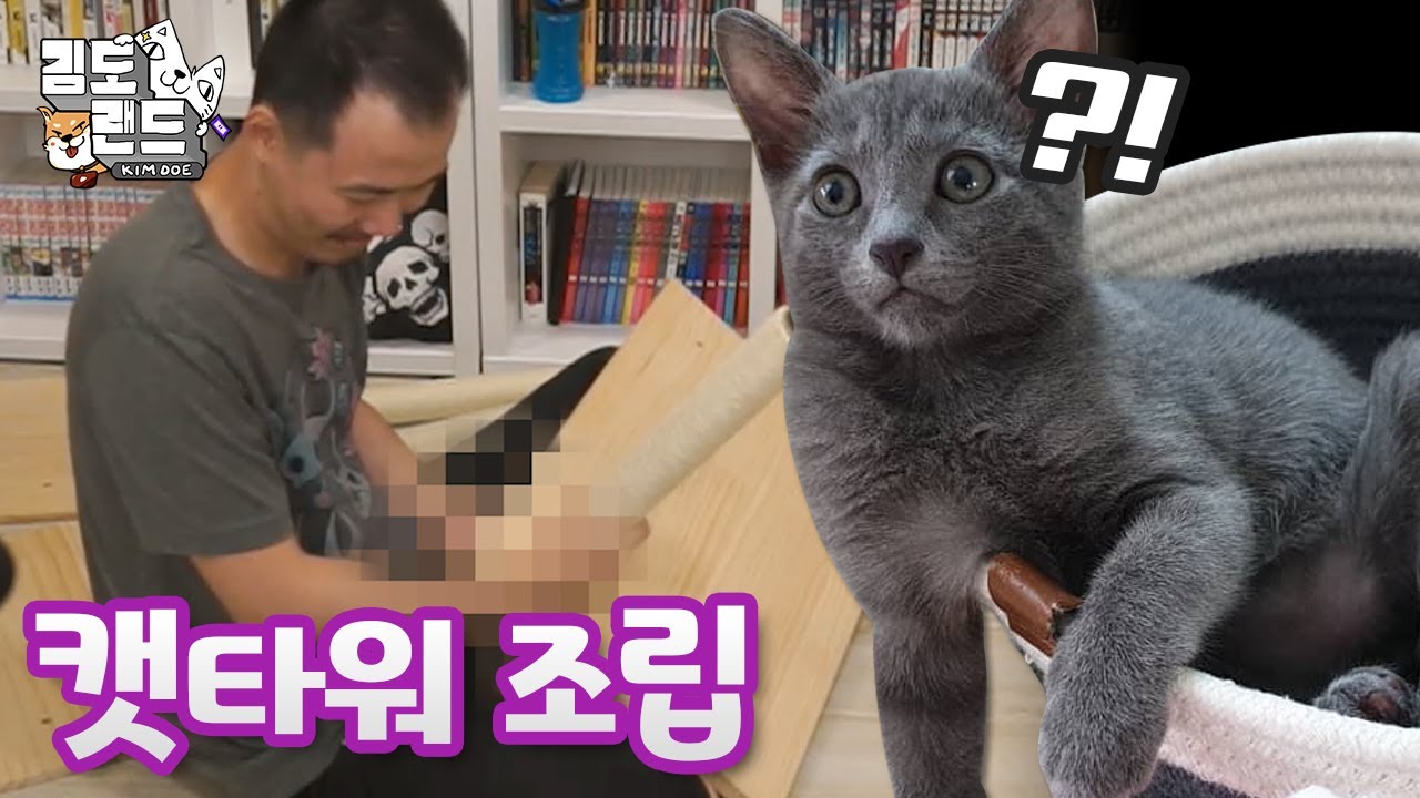 커비의 새 놀이터 