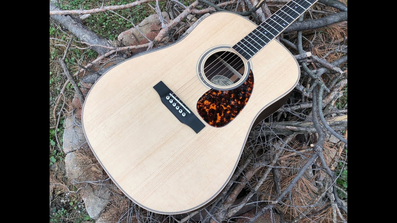 Larrivee D 40R