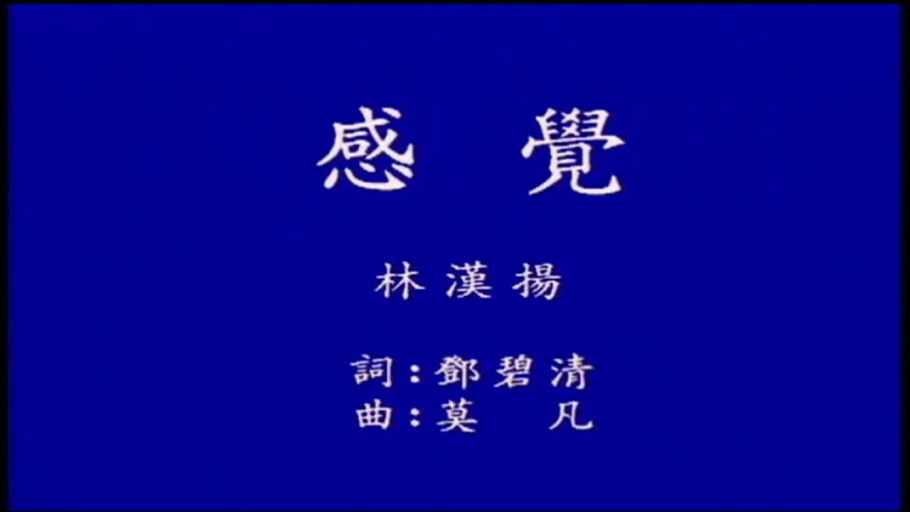 林漢揚 - 現代流行工坊 05-15 感覺