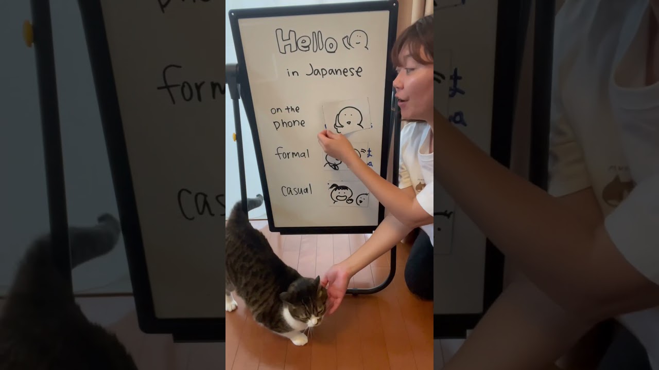 3 ways to say &ldquo;hello&rdquo; in Japanese 🤗#japaneselesson #learnjapanese #japaneselanguage