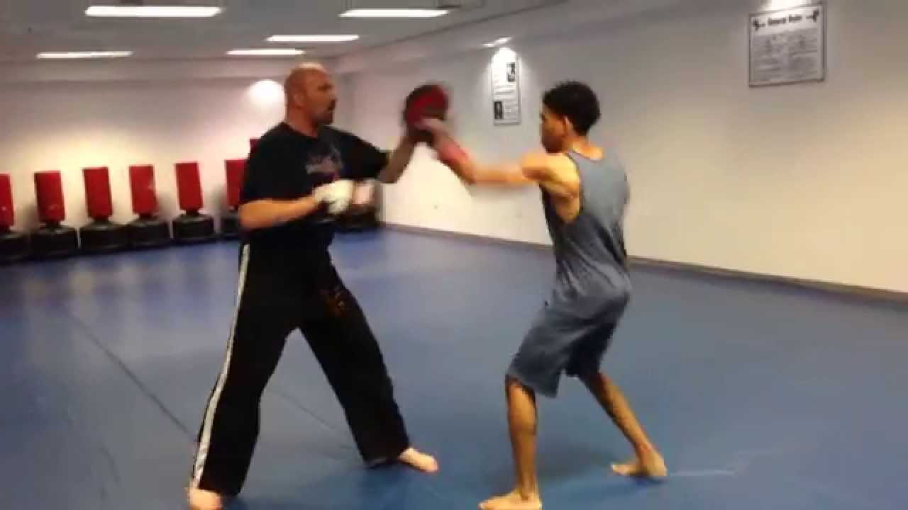 Mixed Martial Arts Combination Training in Flowery Branch
