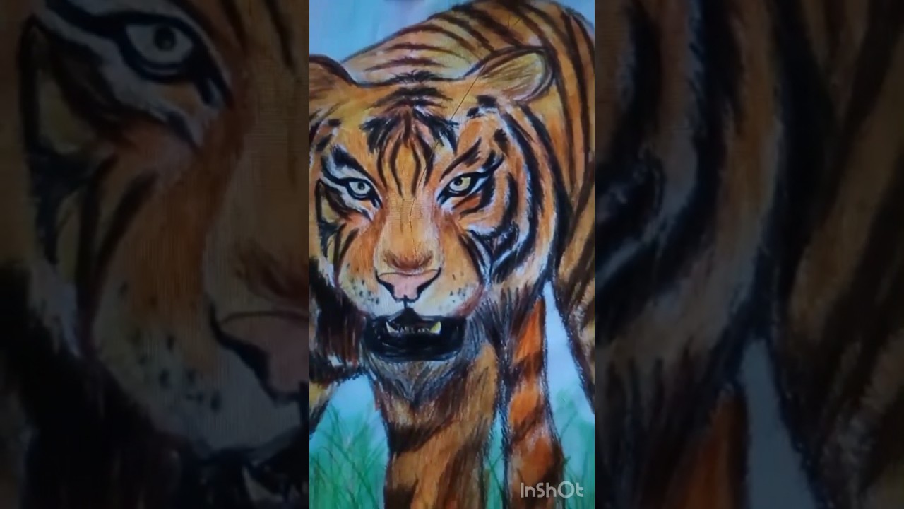 Drawing - Tiger☝🏻❤️‍🔥🔥