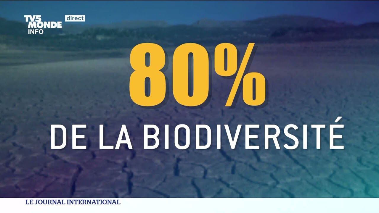 COP15 : protéger 30% de la planète d'ici 2030 ?