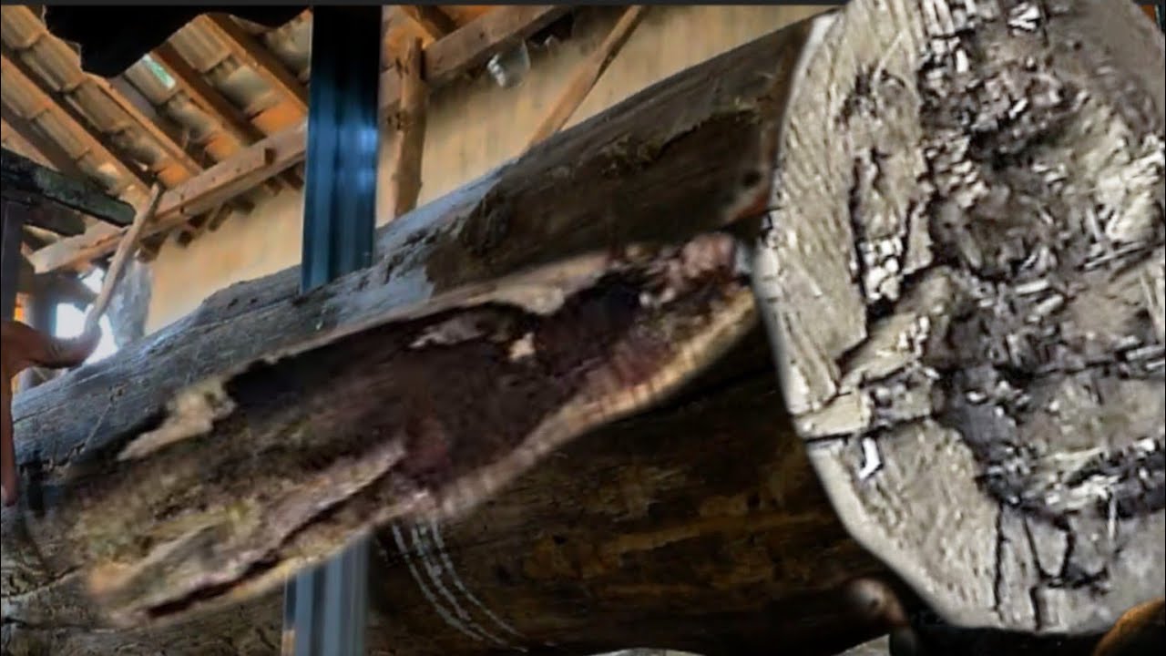 unexpected happened when sawing rare fiber wood at the Sawmill, it turned out...