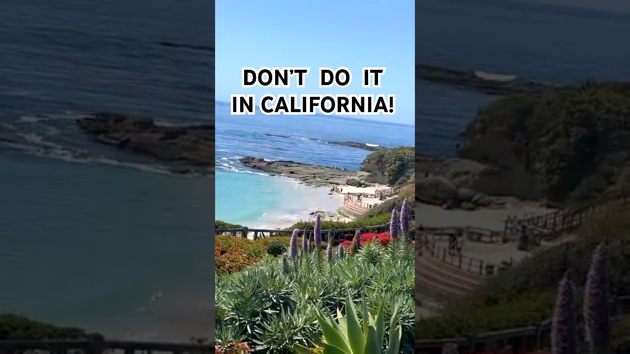 🇺🇸🌴 CALIFORNIA Fun Fact 🌴 Почему в Калифорнии нельзя просто так собрать камешек на пляже #Shorts