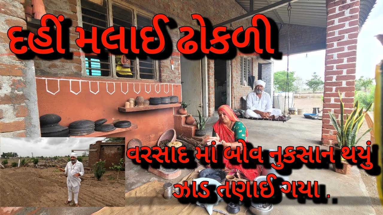દહીં મલાઈ રજવાડી ઢોકળી | વાડી માં વરસાદ થી બોવ નુકસાન થયું રસોડા સુધી પાણી આવી ગયું