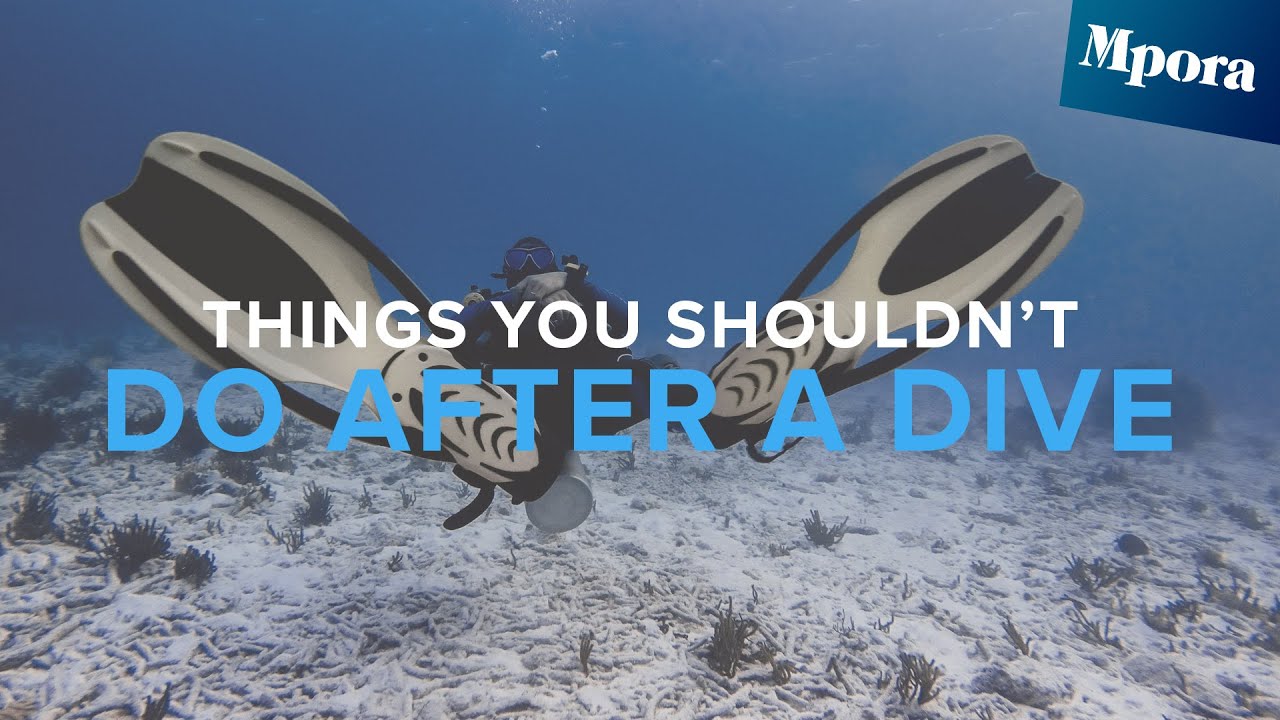 5 More Things You SHOULDN'T Do After A Dive | Surface Interval