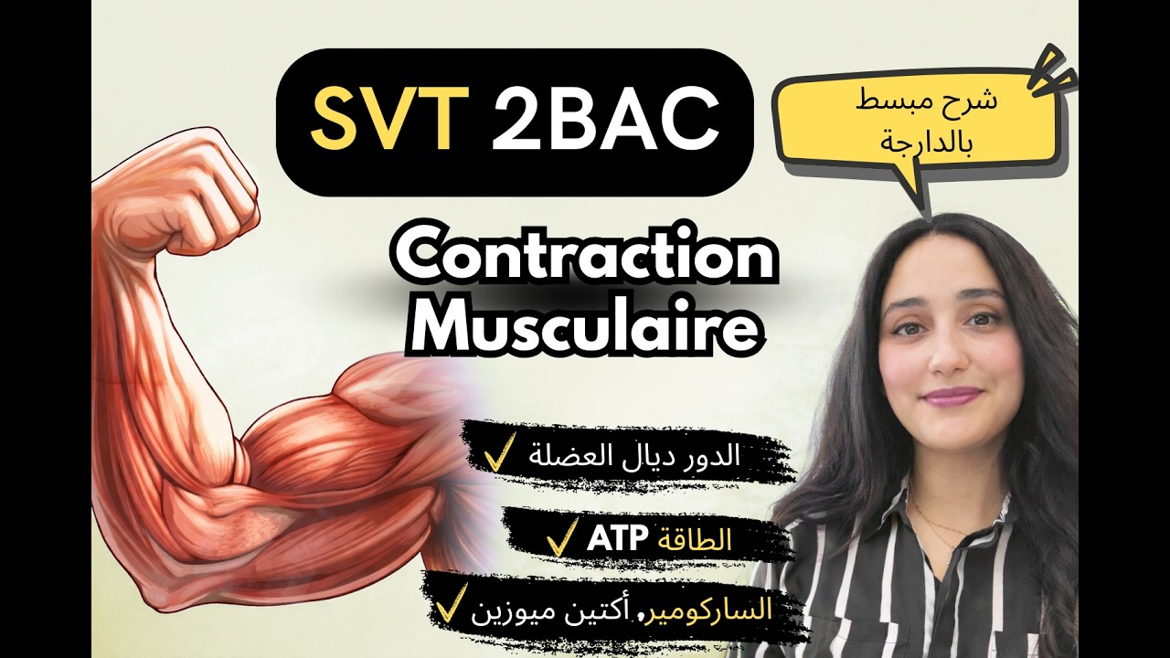 Contraction musculaire expliquée simplement | SVT 2BAC شرح مبسط بالدارجة
