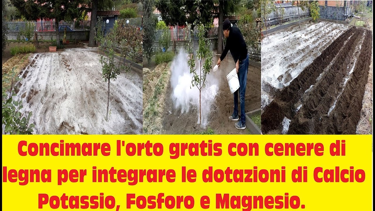 Concimare l'orto con cenere di legna    