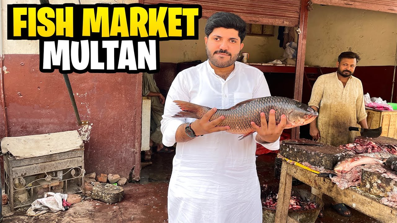 Multan Fish Market 🐠🐠|| Big Fish Market 😍||  Fish Prices Update 2025 ❤️ 