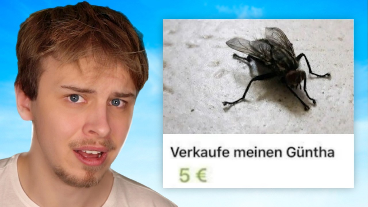 Lustige EBAY Fails...