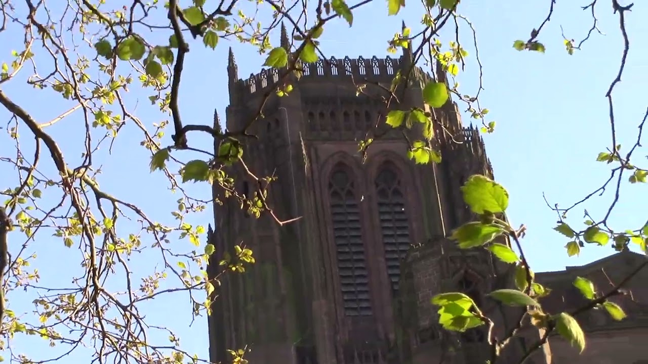 liverpool anglican cathedral the heaviest peal of 13 bartletts bells