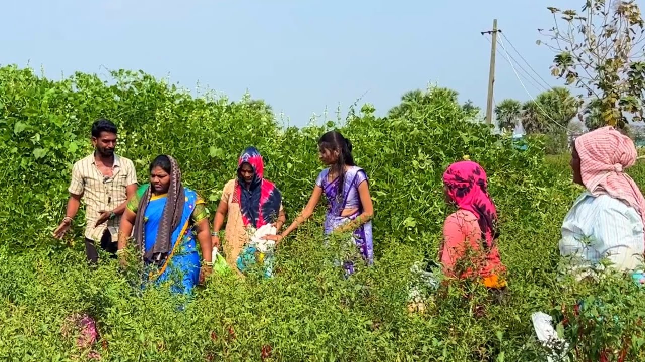 GATLAMA BHATA Part-15 Marchar Wadima Saki Sakir Vodhad Banjara Full Comedy Videoll Fish Vinod Kumar