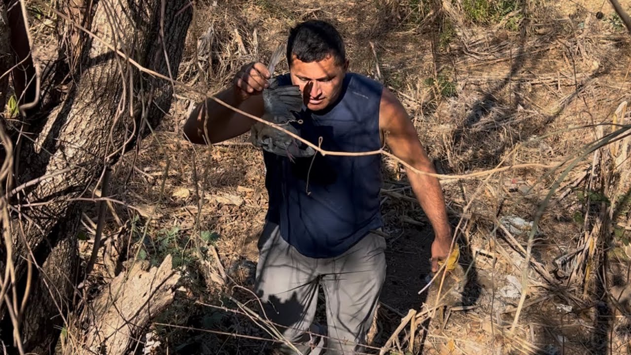 Cazando palomas con ondilla en El Salvador 🇸🇻 