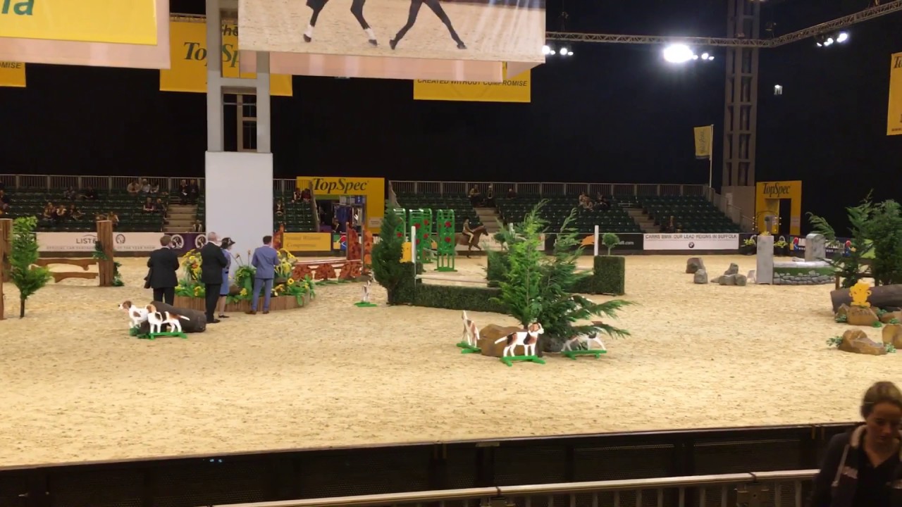 LLafar Tia HOYS 2016 122 M&M