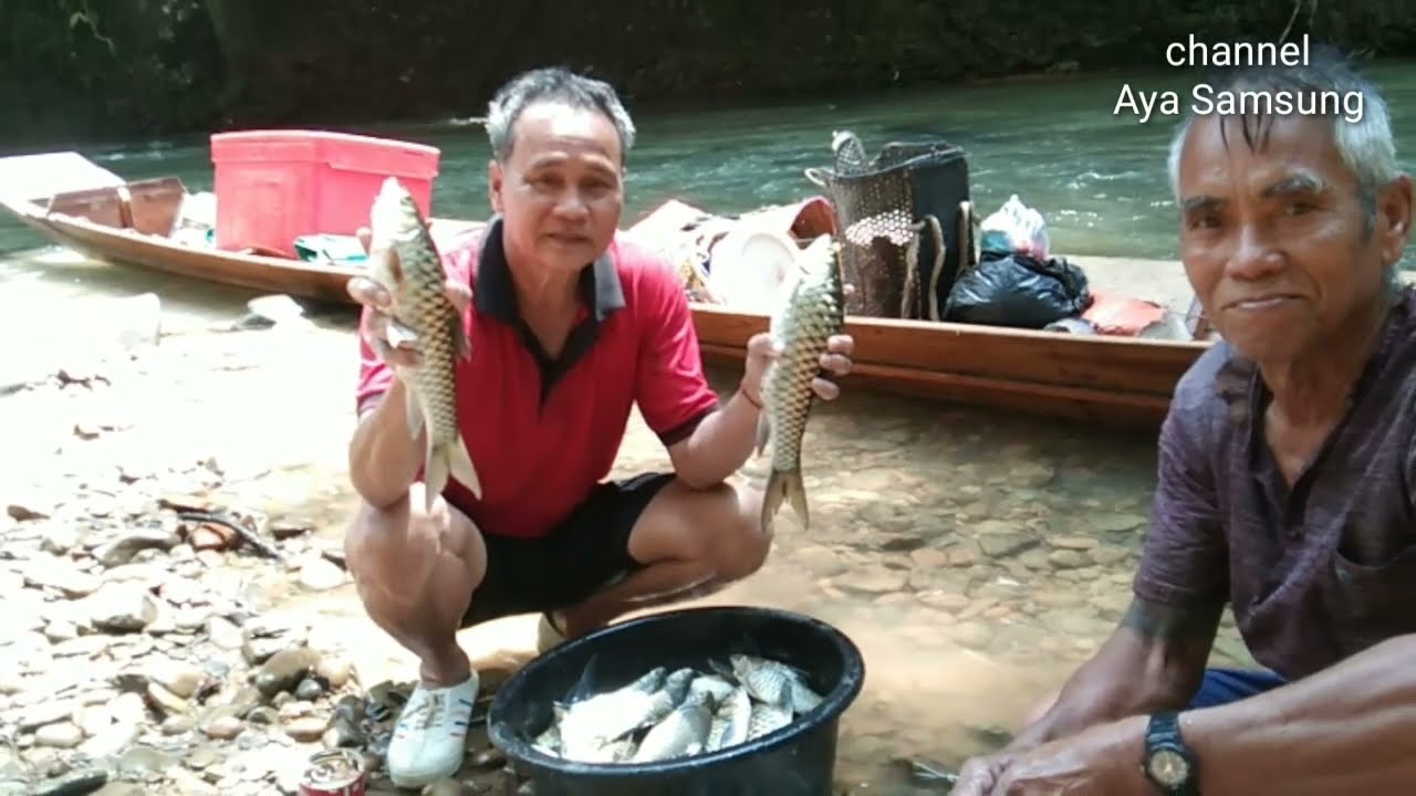 Sungai Yang Dipenuhi Ikan Termahal Di Sarawak,Terkalit Song #ikansemah #empurau