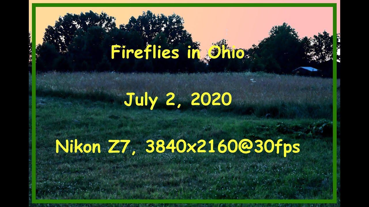 Fireflies in Ohio, July 2, 2020