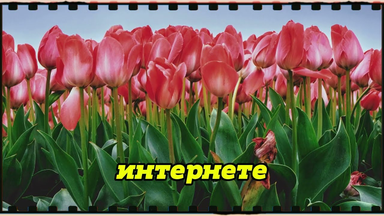 Отдых на даче обернулся неожиданностью жена в шок