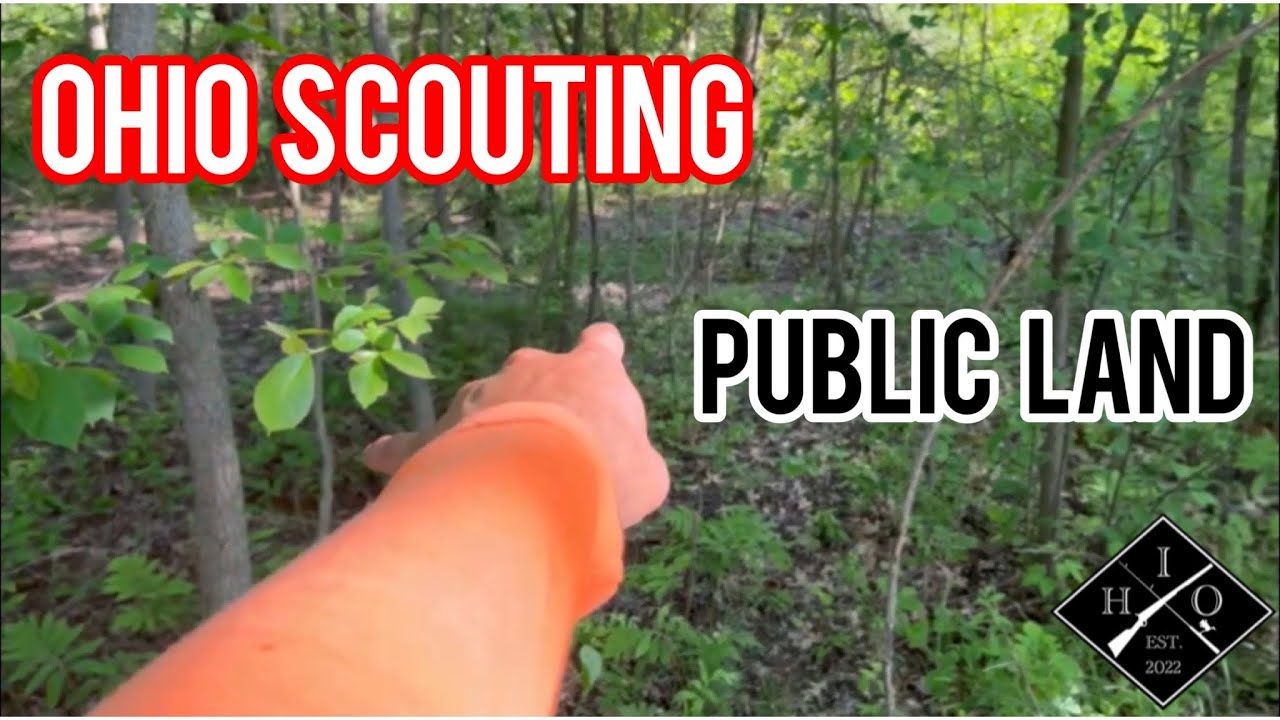 Scouting Public Land | Ohio Tips 🔥💯🏹‼️💵 