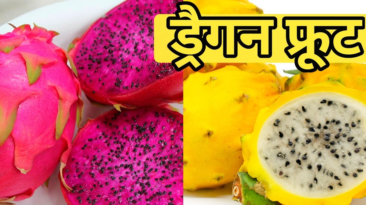 Dragon Fruit Hindi l 9447389144 I Palora Gold l Malayasian Red IPink panther I American beauty
