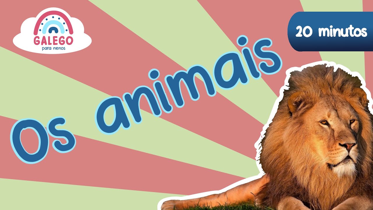 20 minutos de animais en galego para nenos