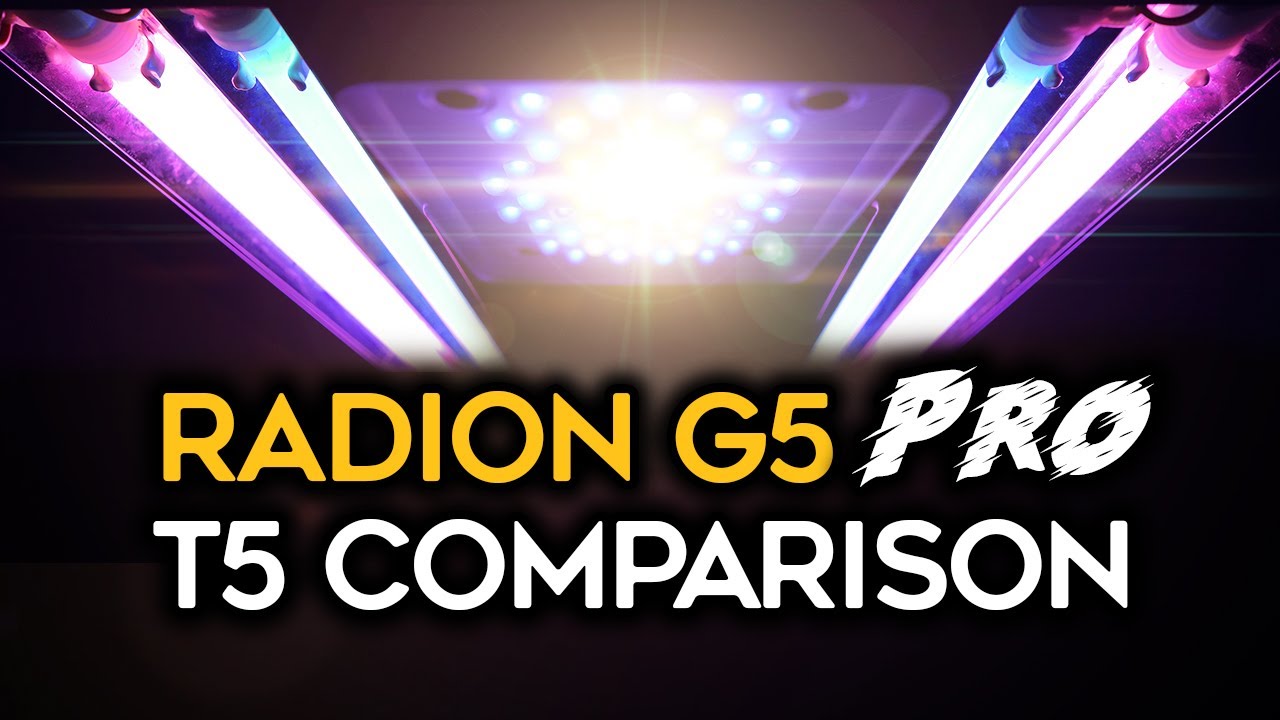 Radion G5 PRO with T5 Combination