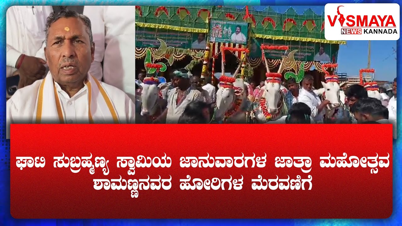 ಘಾಟಿ ಸುಬ್ರಹ್ಮಣ್ಯ ಸ್ವಾಮಿಯ ಜಾನುವಾರಗಳ ಜಾತ್ರಾ ಮಹೋತ್ಸವ - ಶಾಮಣ್ಣನವರ ಹೋರಿಗಳ ಮೆರವಣಿಗೆ | Vismaya News Kannada