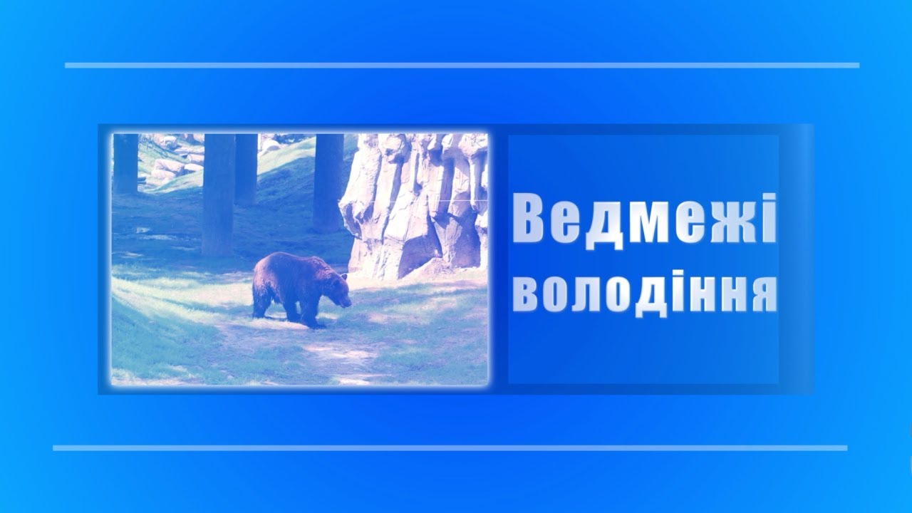 Ведмежі володіння